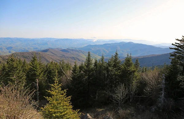 Landscape Clingman Dome Great Smoky Mountains National Park Tennessee — стокове фото
