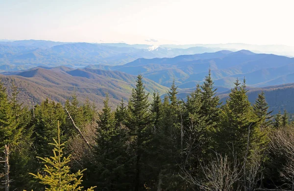 Blick Vom Clingman Dome Great Smoky Mountains National Park Tennessee — Stockfoto