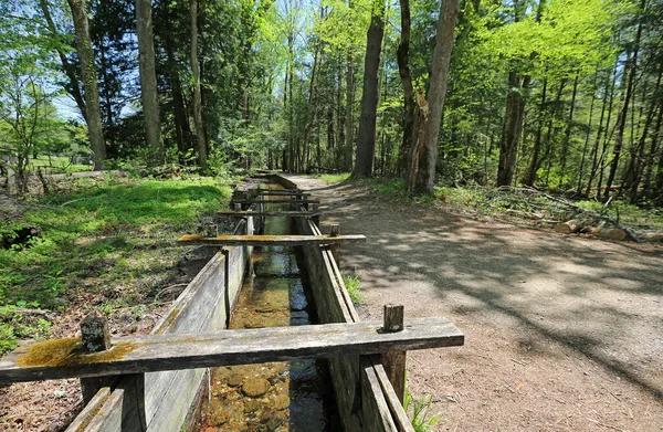 Connecting Channel Trail Great Smoky Mountains Tennessee — Stock Photo, Image