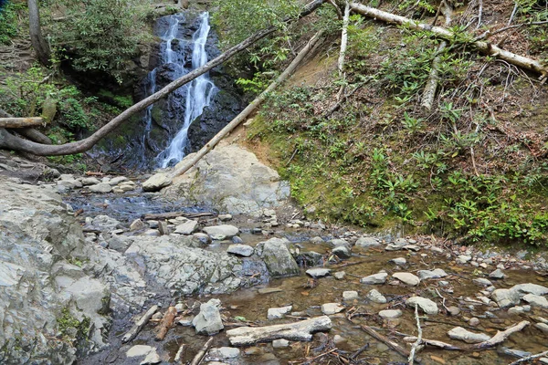 Καταρράκτης Falls Great Smoky Mountains Τενεσί — Φωτογραφία Αρχείου