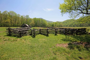 Dağ Çiftliği Müzesi 'ndeki çayır - Great Smoky Dağları Ulusal Parkı, Kuzey Carolina