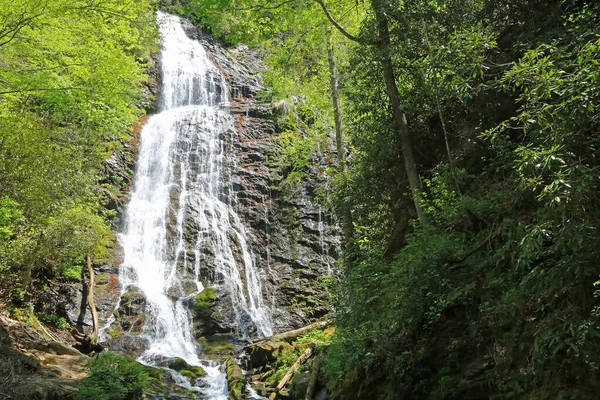 Mingo Falls Parque Nacional Great Smoky Mountains Carolina Del Norte — Foto de Stock