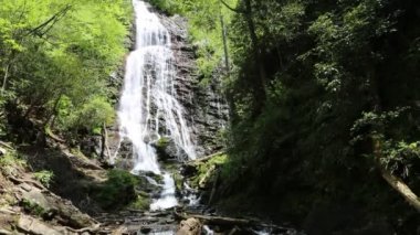 Mingo Şelalesi - Kuzey Carolina