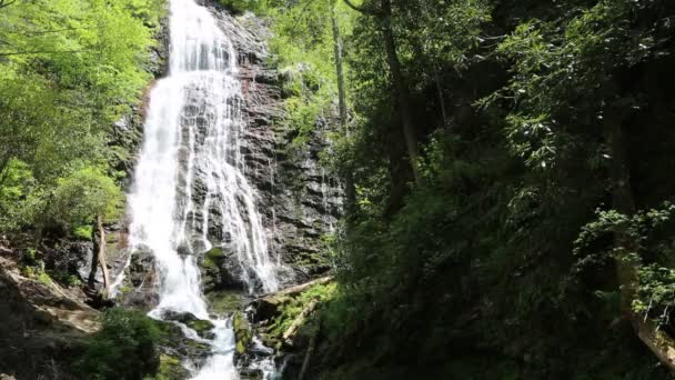 Mingo Falls Cliff North Carolina — Stock Video