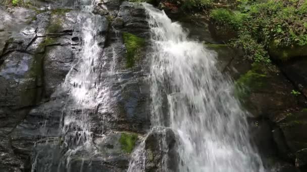 Juney Whank Falls Severní Karolína — Stock video