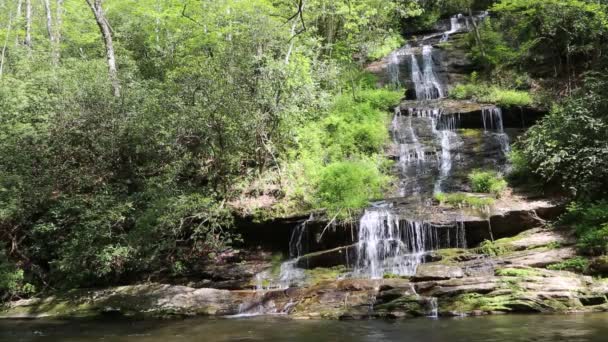 Tom Branch Falls Great Smoky Mountains Carolina Del Nord — Video Stock