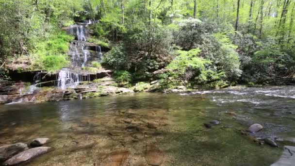Krajina Tom Branch Falls Great Smoky Mountains Severní Karolína — Stock video