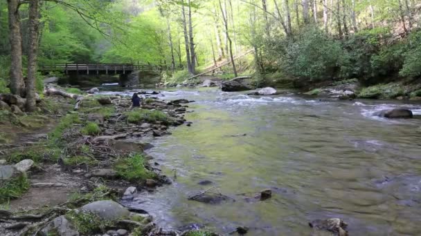 Meditatie Deep Creek Great Smoky Mountains Noord Carolina — Stockvideo