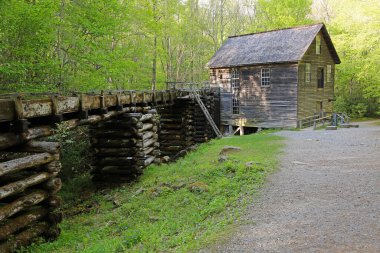 Mingus Mill, 1886 - Great Smoky Mountains NP, Kuzey Carolina