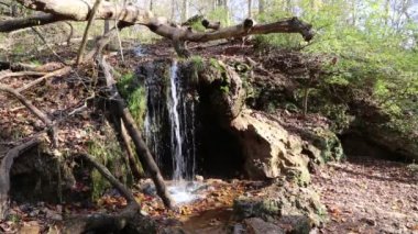 Grotto Falls - Glen Helen Nature Preserve, Ohio