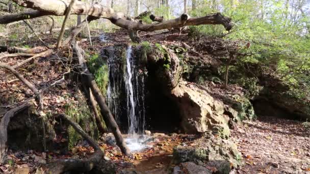 Grotto Falls Glen Helen Nature Preserve Ohio — Wideo stockowe