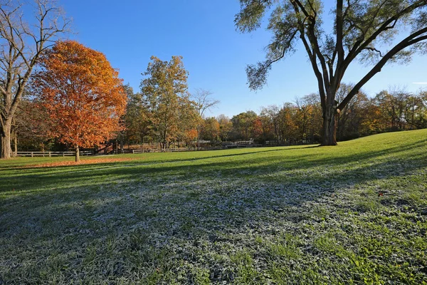 Frosty Morning Indian Mound Reserve Ohio — Zdjęcie stockowe