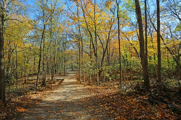 Romantic Trail Forest Ohio — Foto de Stock