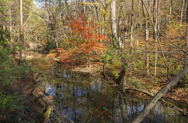 Romantic view - Glen Helen Nature Preserve, Ohio