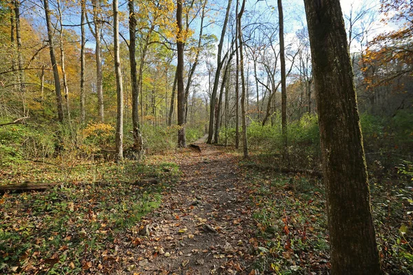 Walking Glen Helen Nature Preserve Ohio — 스톡 사진
