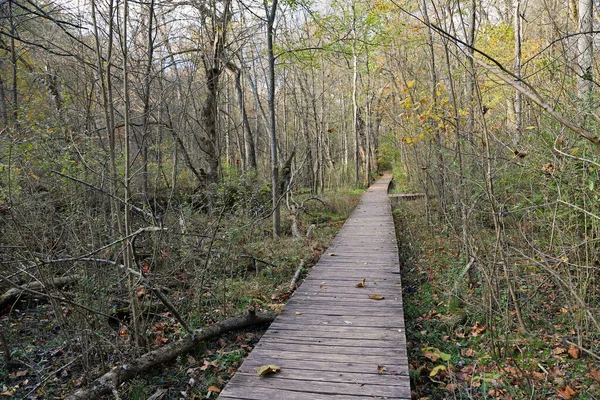 Boardwalk Nature Reserve Glen Helen Nature Preserve Ohio — стоковое фото