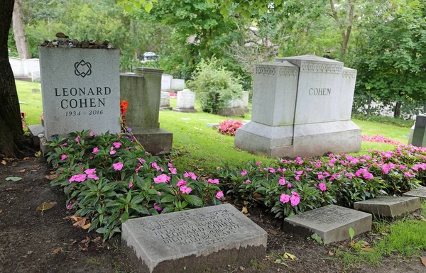 Family Cohen Burial Site Montreal Quebec Canada — Stock Photo, Image