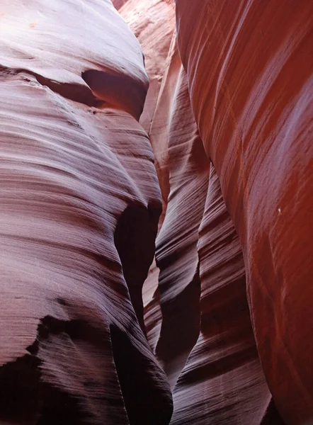 Narrow Canyon Vertical Secret Antelope Canyon Page Arizona — Stock Photo, Image