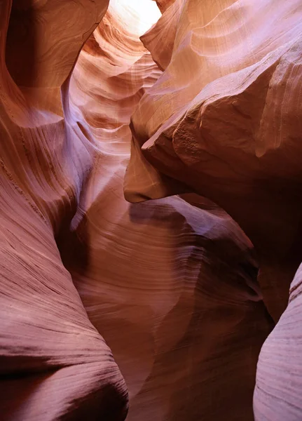 Curled Cliff Hemliga Antelope Canyon Page Arizona — Stockfoto
