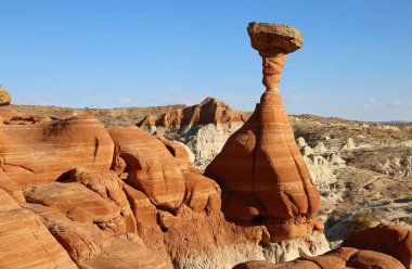 Güzel kırmızı zehirli mantar Grand Staircase Escalante Ulusal Anıtı, Utah
