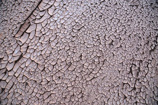 Cracked Clay Surface Utah — Stock Photo, Image
