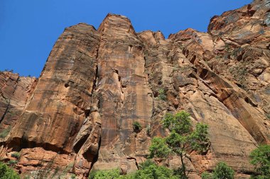 Katedral Dağı 'nın Kızıl Kayalıkları - Zion Ulusal Parkı, Utah