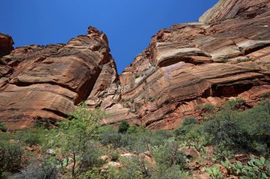 Kızıl Kemerli Dağ Duvarları - Zion Ulusal Parkı, Utah