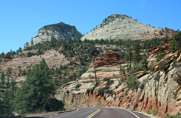 Road Zion National Park Utah — Stock Photo, Image