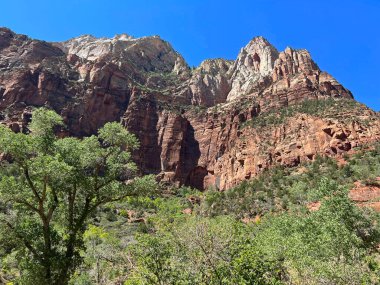 Maroni Dağı 'nın tepeleri - Zion Ulusal Parkı, Utah