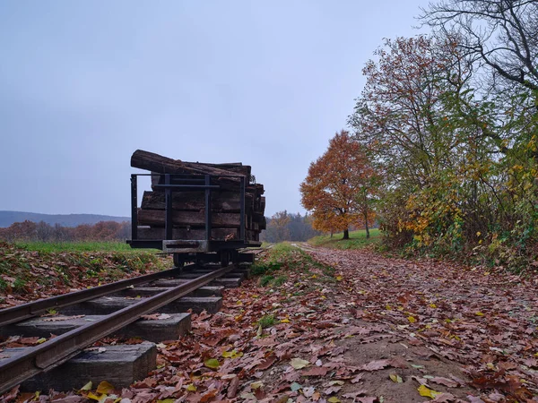 Pequeño Vagón Sobre Raíles Con Vigas Madera Para Construcción Ferrocarril —  Fotos de Stock
