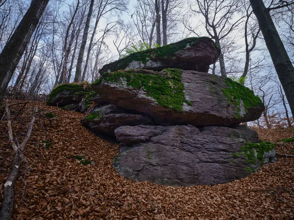 Rock Forest Overgrown Moss Fallen Dry Leaves Autumn Hradok Pod — Photo