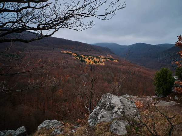 Uitzicht Vanaf Top Van Rots Het Bos Herfst Kleuren Hradok — Stockfoto