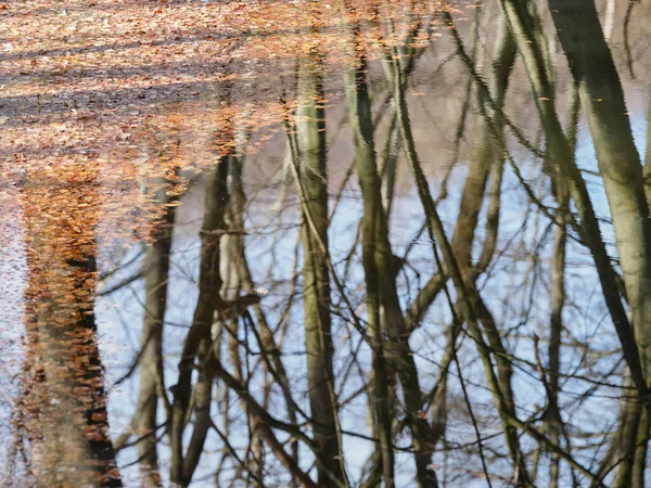 Reflection Tree Trunks Lake Impressionist Painting — Stock Photo, Image