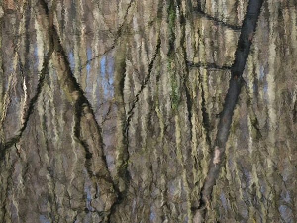 Reflection Tree Trunks Lake Impressionist Painting — Stock Photo, Image