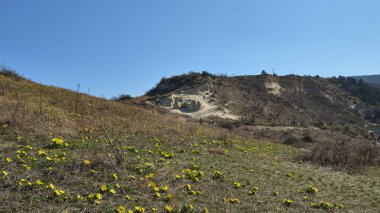 Baharda Sandberg Tepesi ve Slovakya 'da sarı çiçeklerle dolu çayır
