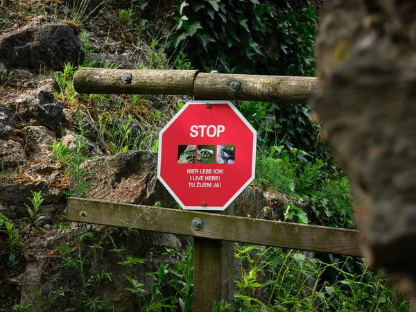 Segno Stop Natura Causa Della Presenza Serpenti Vivo Qui — Foto Stock