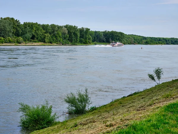 Dunaj Řeka Twin City Liner Rychlá Loď Vídně Bratislavy — Stock fotografie