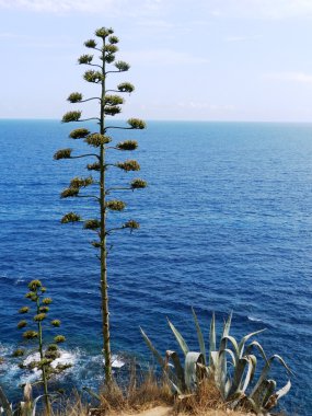 Costa brava İspanya