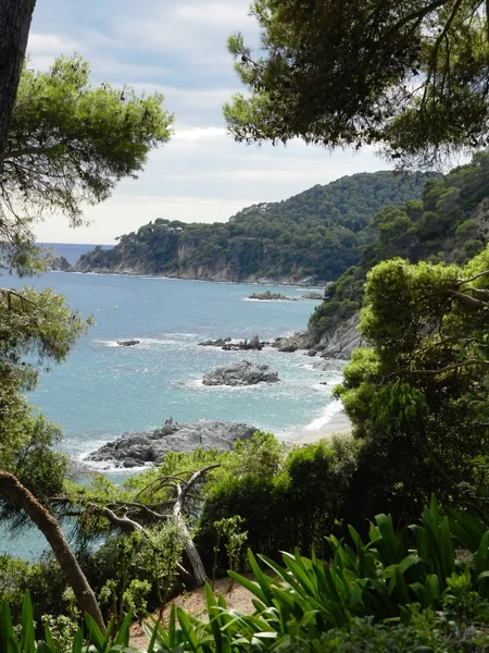 Costa Brava paisagem, Lloret de Mar, Catalunha, Espanha — Fotografia de Stock