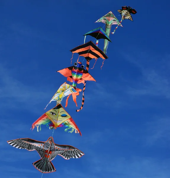 Kite soaring in the blue sky — Stock Photo, Image