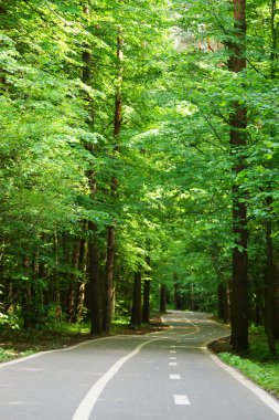 Parktaki bisiklet yolları