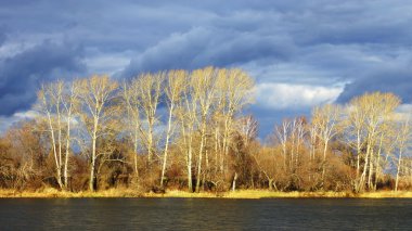 bir arka plan bulutlu gökyüzü üzerinde sonbahar manzarası