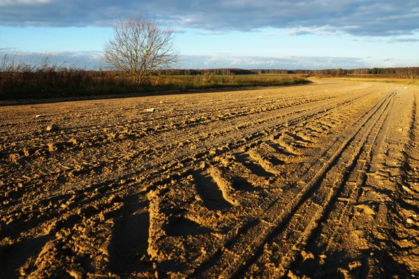 Dirty rural road and cloudy blue sky — Stock Photo, Image