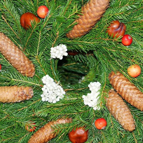 Christmas wreath with pine cones and flowers — Stock Photo, Image