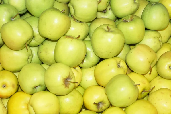 Ripe green apples — Stock Photo, Image