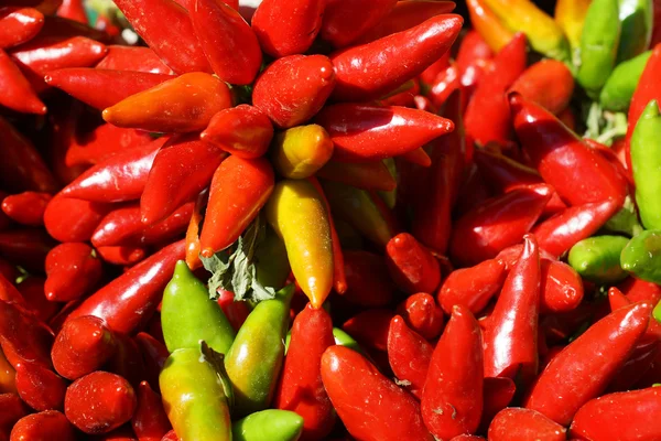 Pimiento rojo y verde en las vigas — Foto de Stock