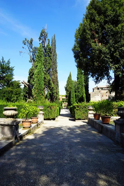 Villa d 'Este in Tivoli, Italy, Europe — стоковое фото