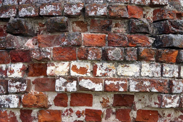 Old brickwork with timestamps — Stock Photo, Image