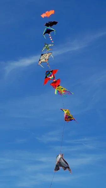 Kite in blue sky — Stock Photo, Image