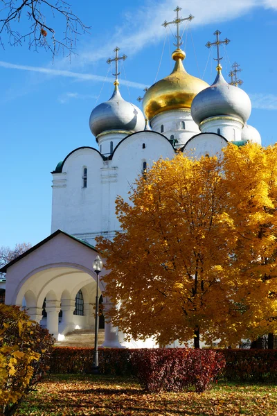 ノヴォデヴィチ女子修道院、モスクワ、ロシアのスモレンスク大聖堂 — ストック写真